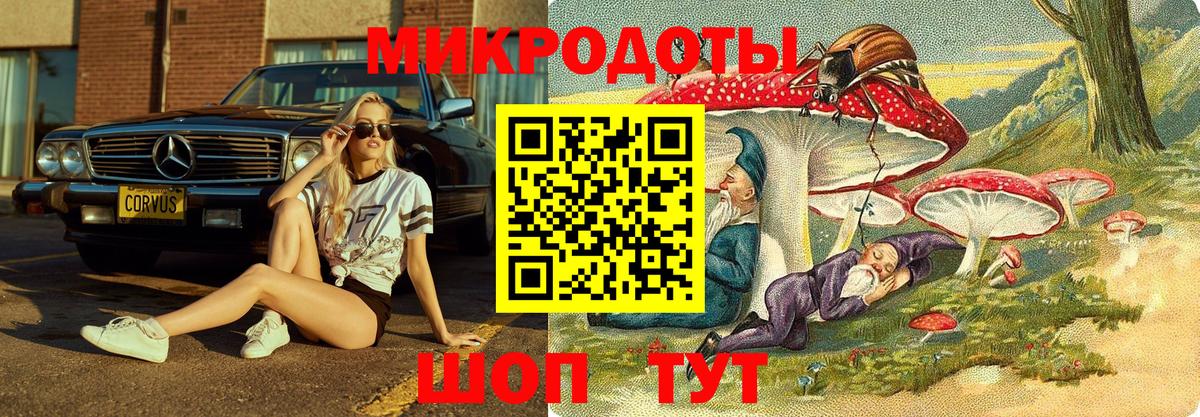 Губаха  Псилоцибиновые грибы мухоморы  Псилоцибиновые грибы Magic Shrooms  Вход с VPN 