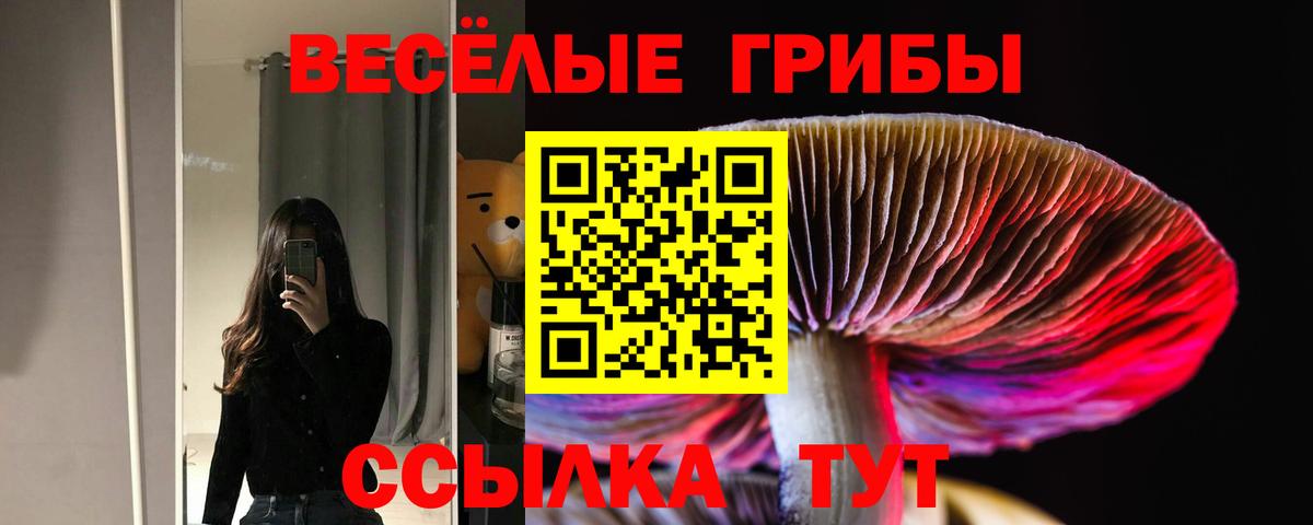 Галлюциногенные грибы Cubensis Губаха